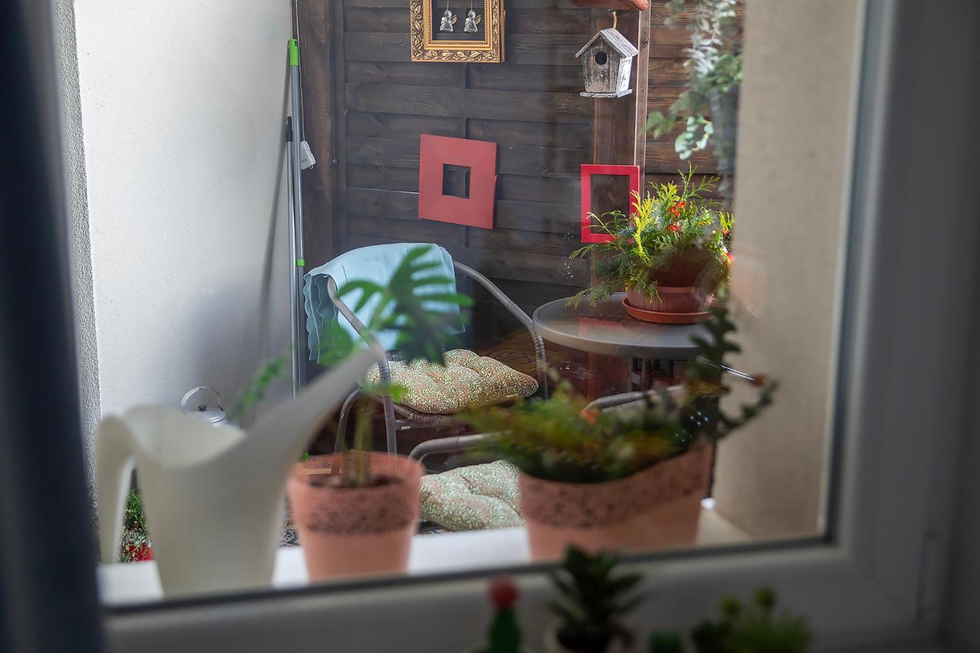 Apartament U Olechny 4 Bydgoszcz Dış mekan fotoğraf
